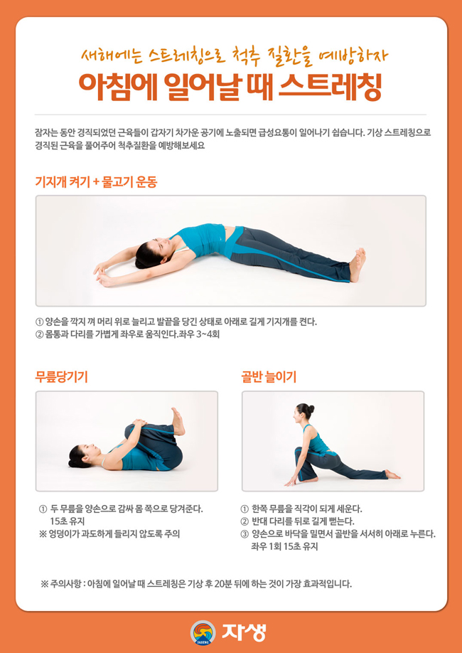 자생한방병원 건강정보 - 새해에는 스트레칭으로 척추 질환을 예방하자. 아침에 일어날 때 스트레칭. /아래내용 참조