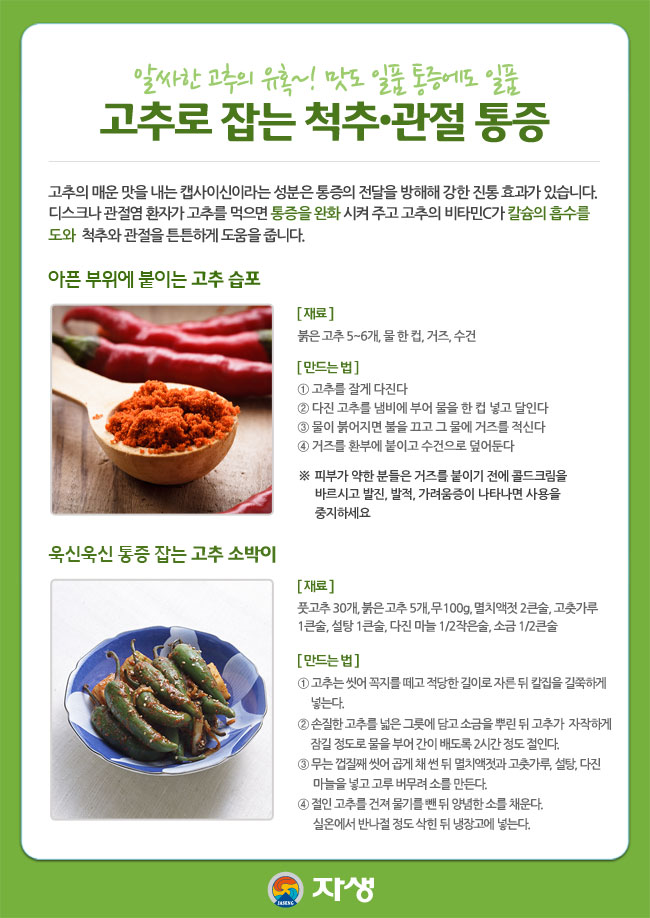 자생한방병원 건강정보 - 알싸한 고추의 유혹~! 맛도 일품 통증에도 일품. 고추로 잡는 척추 관절 통증/아래내용 참조