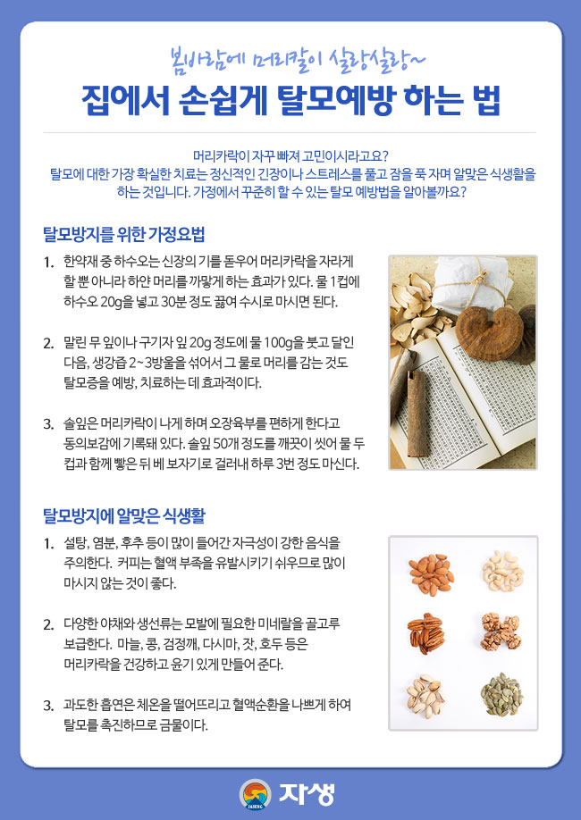 봄바람에 머리칼이 살랑살랑~ / 집에서 손쉽게 탈모예방 하는 법