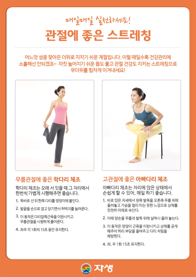 자생 건강정보 - 허리 척추 관절 스트레칭 식단 등 | 광화문자생한방병원 자생 건강정보 - 허리 척추 관절 스트레칭 식단 등 | 광화문자생한방병원