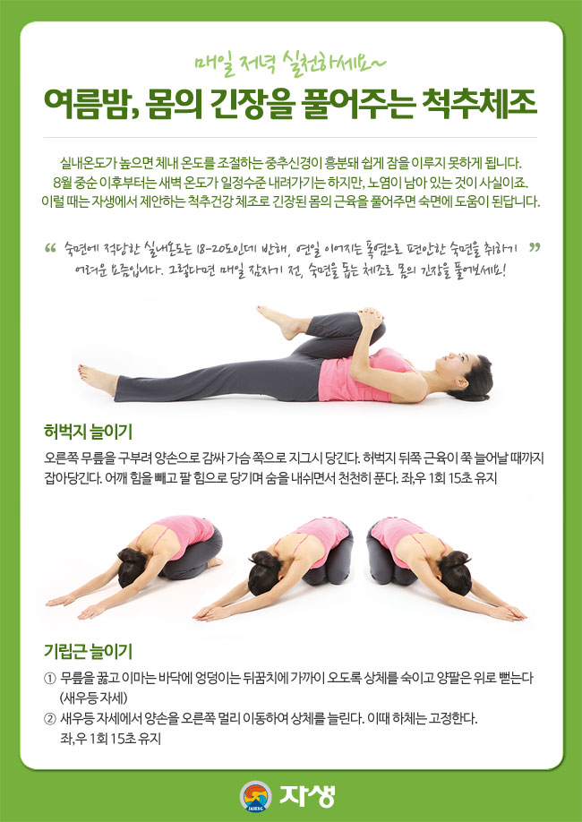 여름밤, 몸의 긴장을 풀어주는 척추체조 / 매일 저녁 실천하세요~