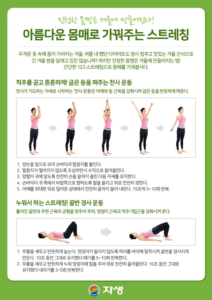 진정한 몸짱은 겨울에 만들어진다! / 아름다운 몸매로 가꿔주는 스트레칭