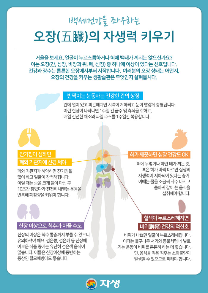 백세건강을 좌우하는 오장(五臟)의 자생력 키우기