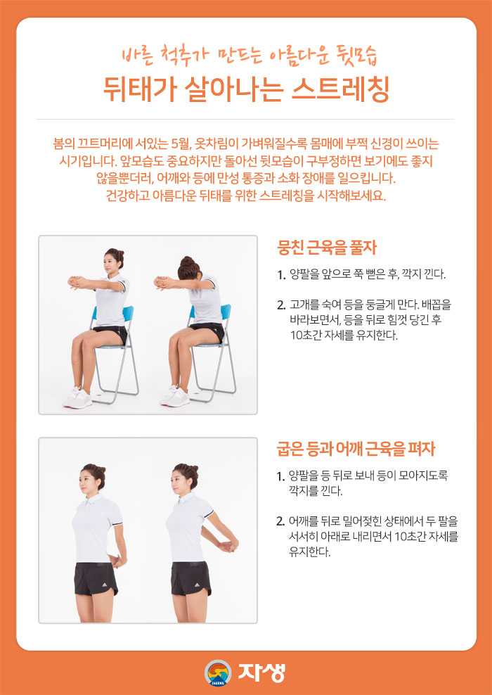 바른 척추가 만드는 아름다운 뒷모습 뒤태가 살아는 스트레칭에 대한 자세한 설명은 다음을 참고하세요.