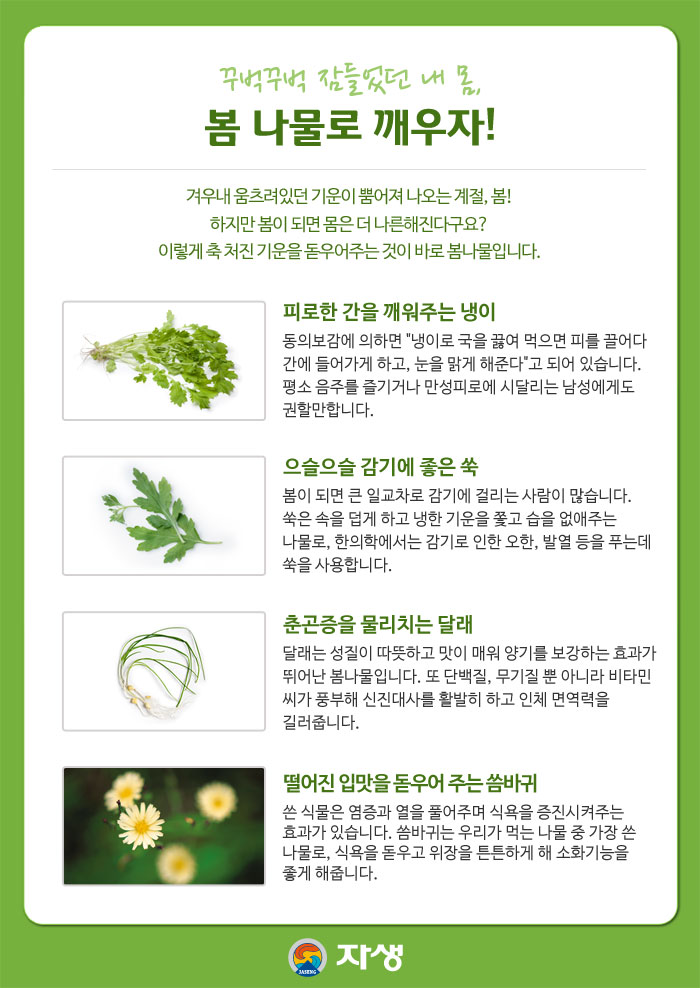 꾸벅꾸벅 잠들었던 내 몸, 봄 나물로 깨우자!