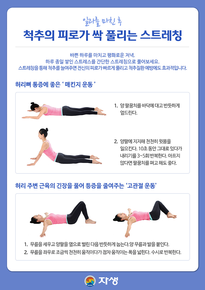 허리 통증 완화 운동/척추에 좋은 4