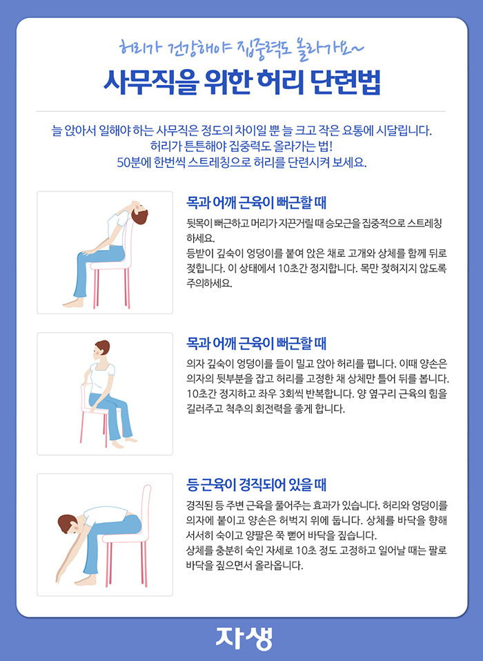 자생한방병원 건강정보 - 사무직을 위한 허리 단련법