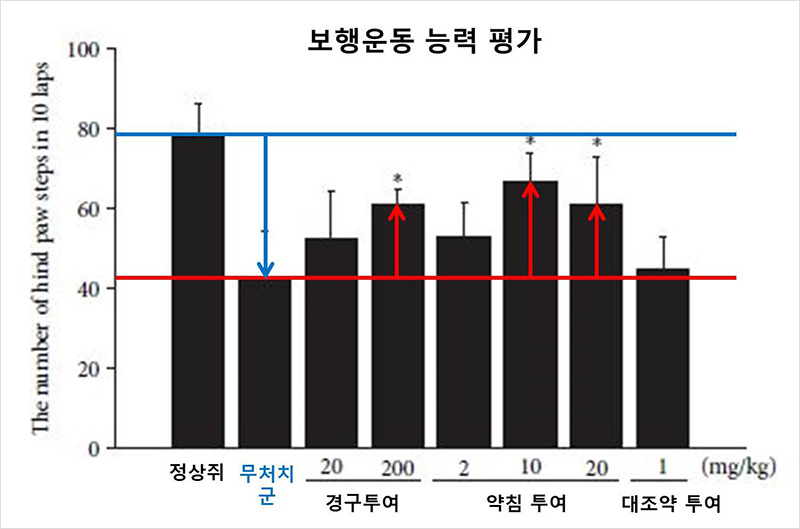 [사진설명] 그림에 따르면 척추관협착증을 유도한 쥐의 걸음이 크게 줄어든 반면 신바로2를 투여한 쥐들은 보행운동 능력이 유의미하게 회복됐다. - 자생의료재단