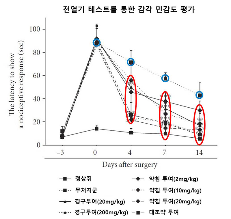 [사진설명] 그림에 따르면 척추관협착증을 유도한 쥐에 신바로2를 투여하면 연구일이 거듭될수록 온각자극에 반응하는 시간이 빨라짐을 알 수 있다. - 자생의료재단