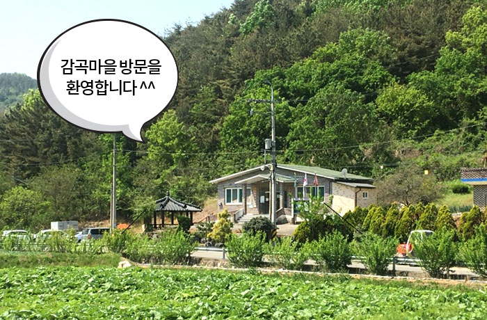 자생한방병원 6시 내고향 떴다! 내고향 닥터 이미지-0
