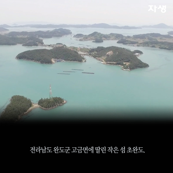 자생한방병원 6시 내고향 떴다! 내고향 닥터 고향스토리 에피소드 3 - 초완도 부부의 섬집 이야기 02