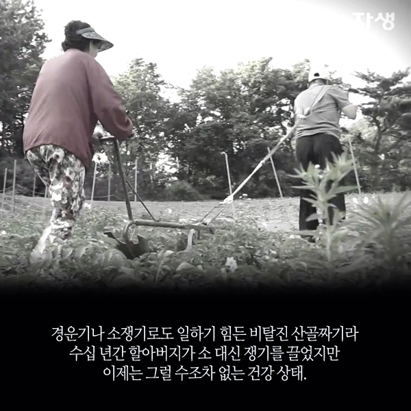 자생한방병원 6시 내고향 떴다! 내고향 닥터 고향스토리 에피소드 4 - 정선 산골 노부부가 사는 법 06