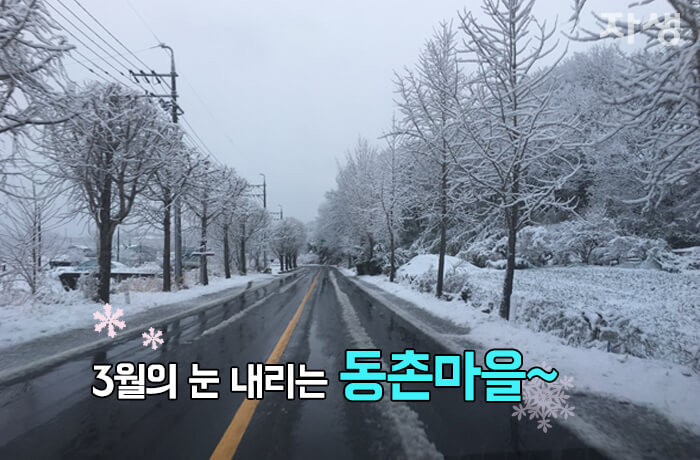 자생의료재단 자생한방병원 별다방! 별걸 다 해주는 고향닥터06_01