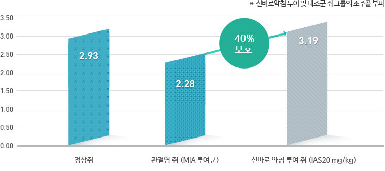 ڻѹ溴 ġȿ Źٷξħħ- Źٷξħ ְ 쿡 40% ȣƴ