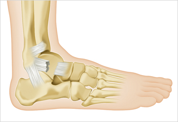 ڻѹ溴 Ÿȯ ߡո߸-,ո,߸ δ