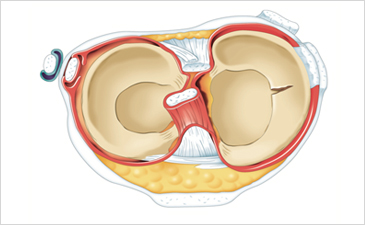 ûڻѹ溴 ȯ ݿջ-ݿջ   Դϴ.