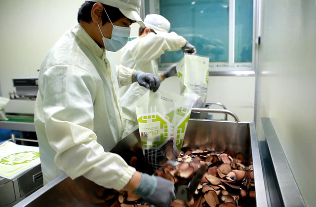 ڻѹ溴 ڻûѾ  - Ѿ ǰ  ̹