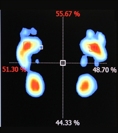 ڻѹ溴 ûҳô ΰ&ȸĪ-  () ̹