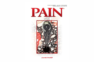 ڻѹ溴 ȭ 丮  ̹ / 1. 2013 MSAT ȿ   PAIN Ǿ    뿡 ħ ġ ȿ ߴ.