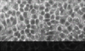 ڻѹ溴 ġ Źٷξħħ-    ̹ Դϴ.